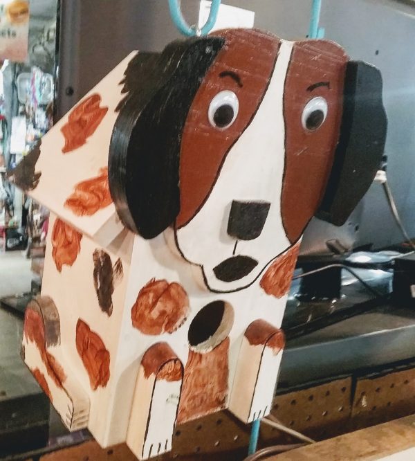 Special Dog